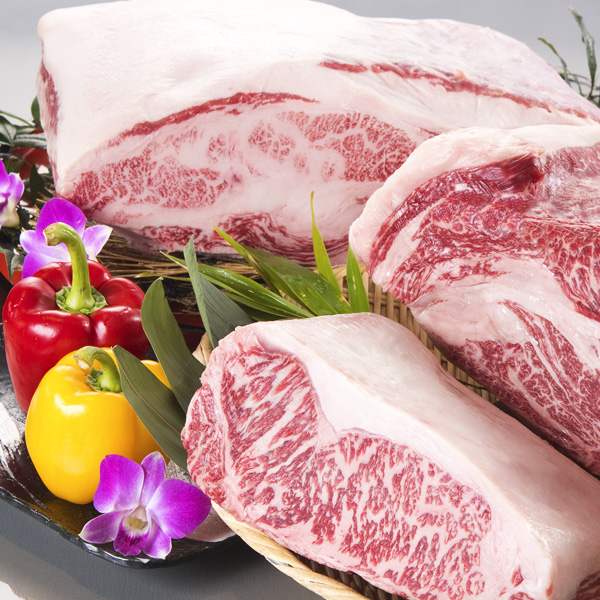 焼き肉 徳島 人気